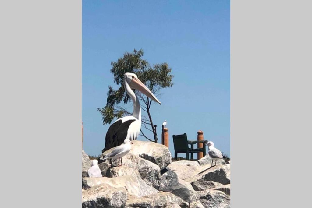 That Seaside Cottage - Fully Equipped Home, 4 Bedrooms On The Foreshore Tooradin 외부 사진