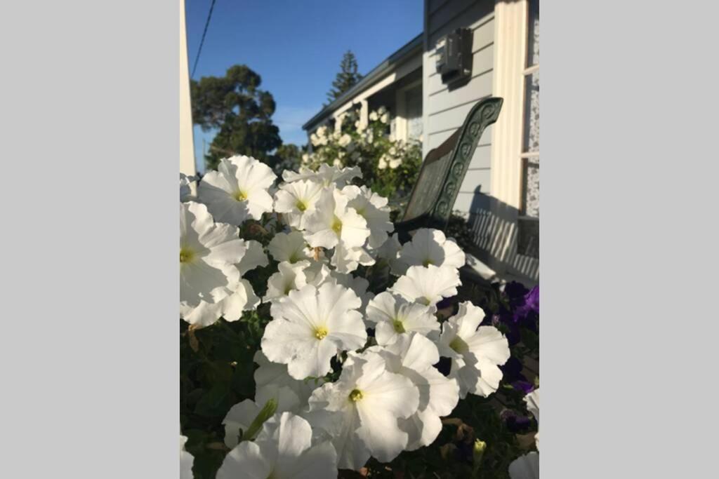 That Seaside Cottage - Fully Equipped Home, 4 Bedrooms On The Foreshore Tooradin 외부 사진